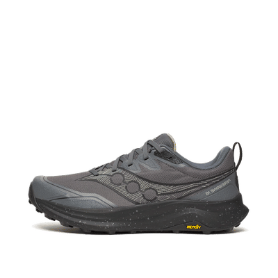 Saucony Peregrine 16 "Grey/Silver" | S21066-101
