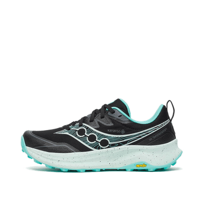 Saucony Peregrine 16 Gore-Tex "Black" | S11068-101