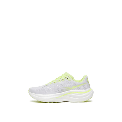 Saucony Ride 19 "Grey/Silver" | S101513-1038