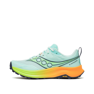 Saucony Peregrine 16 "Blue" | S11066-130