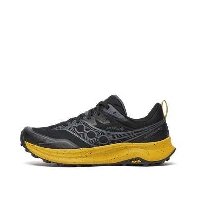 Saucony Peregrine 16 Gore-Tex "Black" | S21068-100