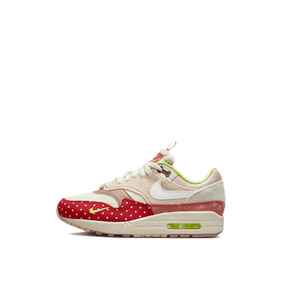 Nike Air Max 1 PRM "Woman's Best Friend" | DR2553-111