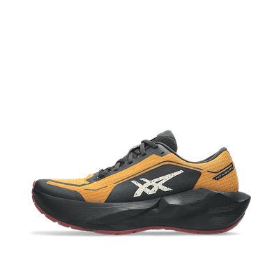 ASICS Novablast 6 GTX "Sandstorm/Black" | 1011C256-800