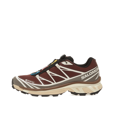 Salomon XT-6 GTX "Bchoco/Iron/Vanilla" | L49215200