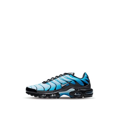Nike Air Max Plus "Blue Gradient" | FQ0204-010