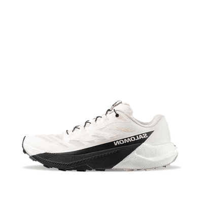 Salomon Pulsar "Beige" | L47999900