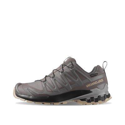 Salomon XA PRO 3D v9 Gore-Tex W | L47744500