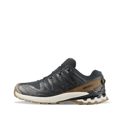 Salomon XA PRO 3D V9 GTX "Black" | L47963800