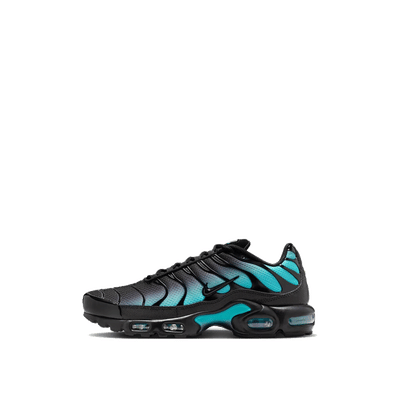 Nike Air Max Plus "Black Dusty Cactus" | DM0032-016