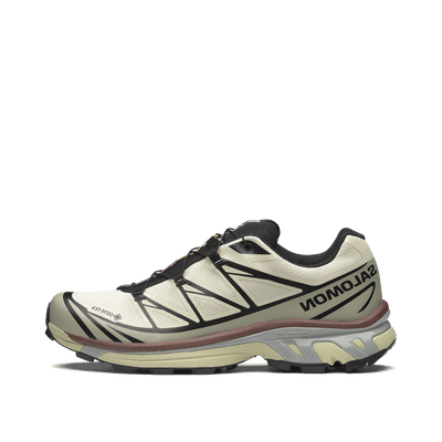Salomon XT-6 GTX "Asparagus/Green Tea/Bitter Chocolate" | L49202200