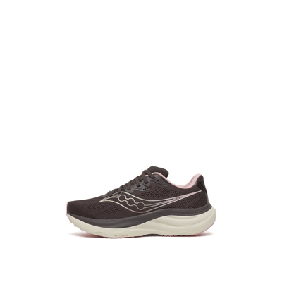 Saucony Ride 19 Wmns "Brown" | S101513-1004