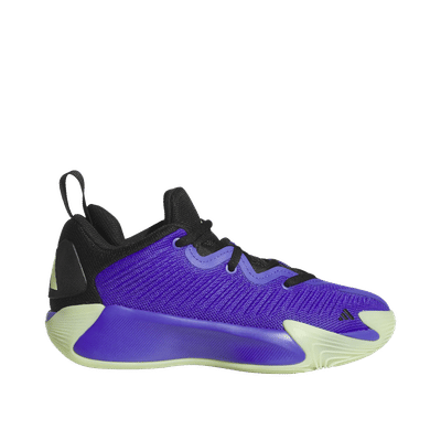 Adidas Initiation "Violet" | KI5265
