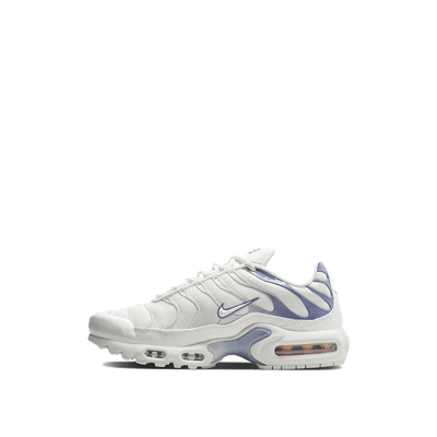 Nike Air Max "White" | DZ3671-104