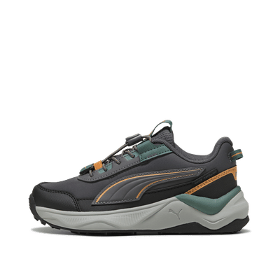 PUMA Evolve 2.0 Trail "Gray" | 313805-01