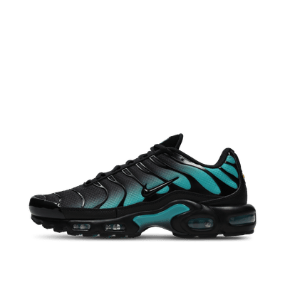 nike-air-max-plus-black-dusty-cactus-dm0032-016