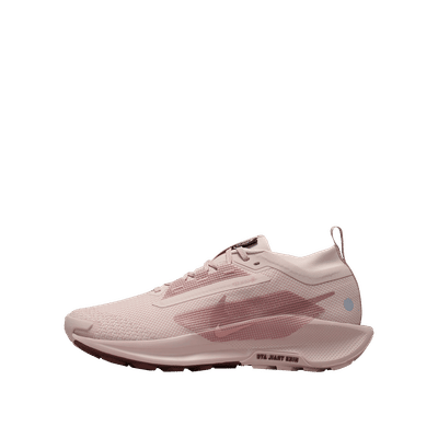 Nike Pegasus Trail 5 GTX Wmns "Pink" | FQ0912-601