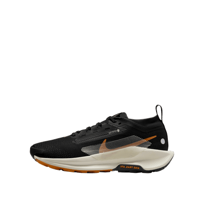 nike-wmns-pegasus-trail-5-gore-tex-black-monarch-fq0912-005