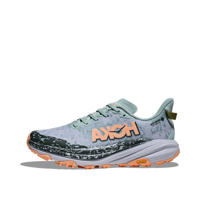 hoka-speedgoat-6-gtx-wmns-jadeash-grey-1155151jsh