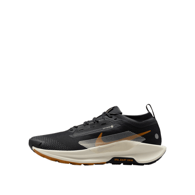 Nike Pegasus 5 Gore-Tex "Black" | FQ0908-007