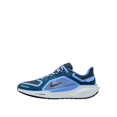 Nike Pegasus 41 Gore-Tex | FQ1357-400