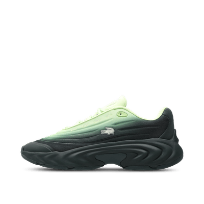 Lacoste Spinor "Green" | 50SMA01641X2