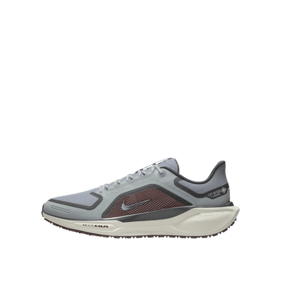 nike-pegasus-41-gore-tex-fq1356-003
