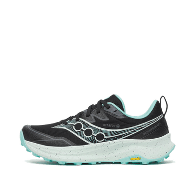 saucony-peregrine-16-gtx-wmns-navy-s110681-01