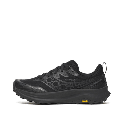 saucony-peregrine-16-gtx-wmns-black-s11068-102