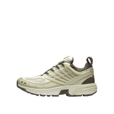 Salomon ACS Pro GTX "Vanilla/Green/Stone" | L47736200