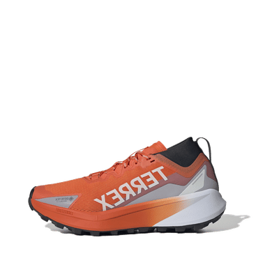 adidas Terrex Agravic GTX "Orange" | JR5241