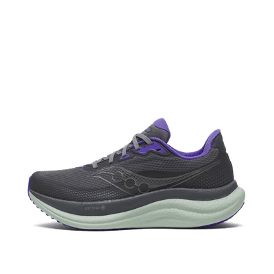 Saucony Triumph 23 GTX Wmns "Grey" | S110250-1