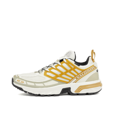 Salomon ACS PRO GTX "Icicle/Antelope/Tea" | L47599800