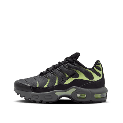 Nike Air Max Plus "Gray" | FZ0023-044