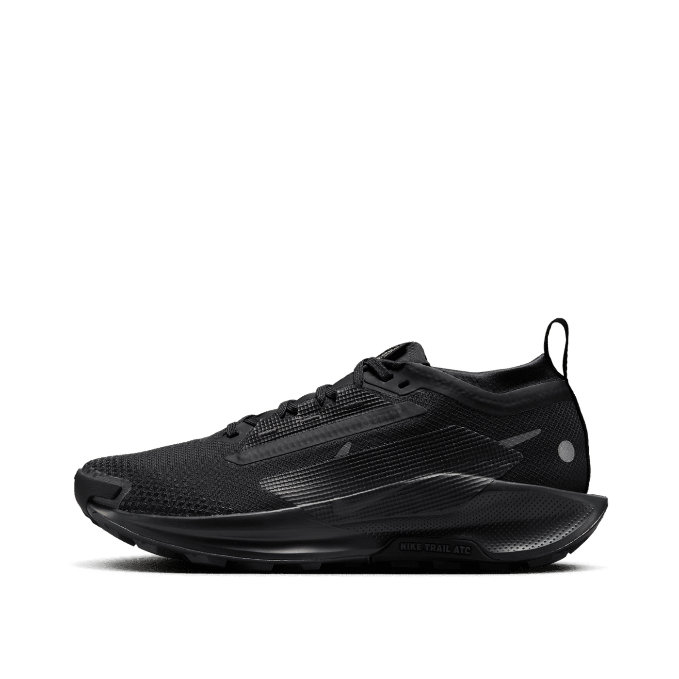 Nike Pegasus Trail 5 GORE-TEX "Black" | FQ0912-002