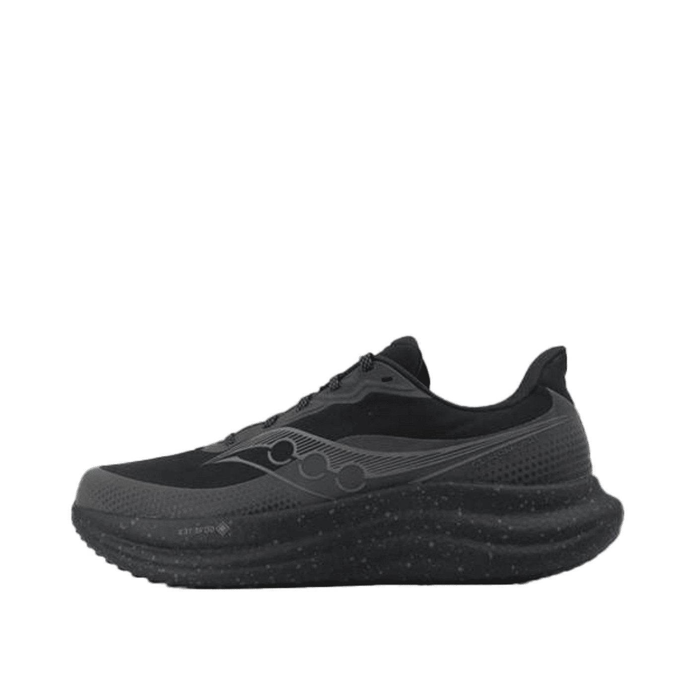 Saucony Triumph 23 GTX Wmns "Black/Black" | S110251-4