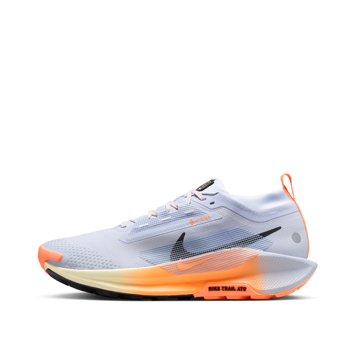 Nike Pegasus Trail 5 GORE-TEX "Grey" | FQ0908-011