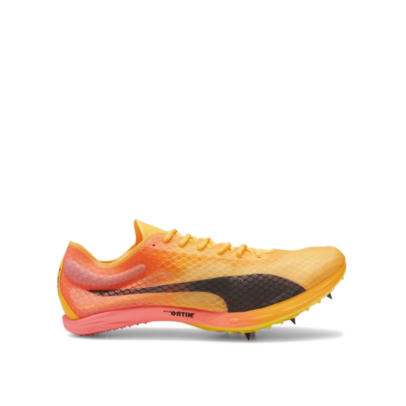 PUMA evoSPEED Distance NITRO Elite+ 4 "Sun Stream-Sunset Glow-PUMA Black" | 380000-01