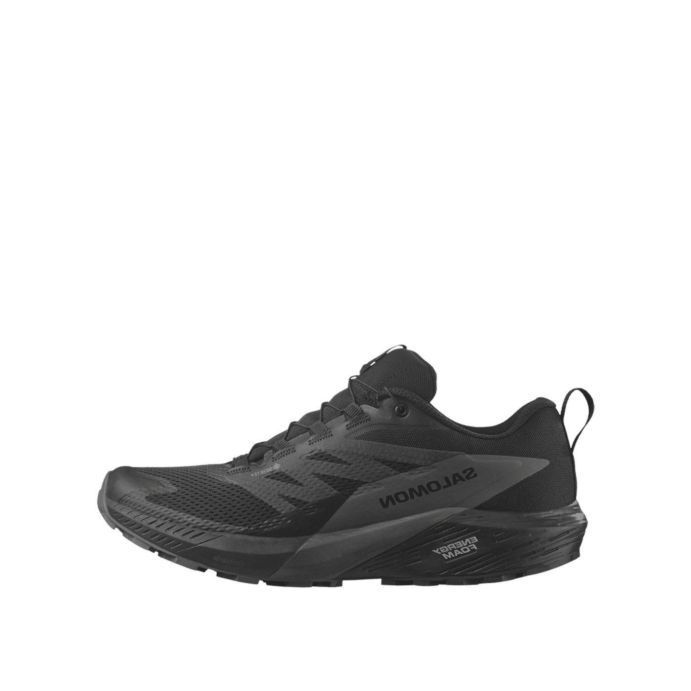 Salomon Sense Ride 5 Gore-Tex | L47147200