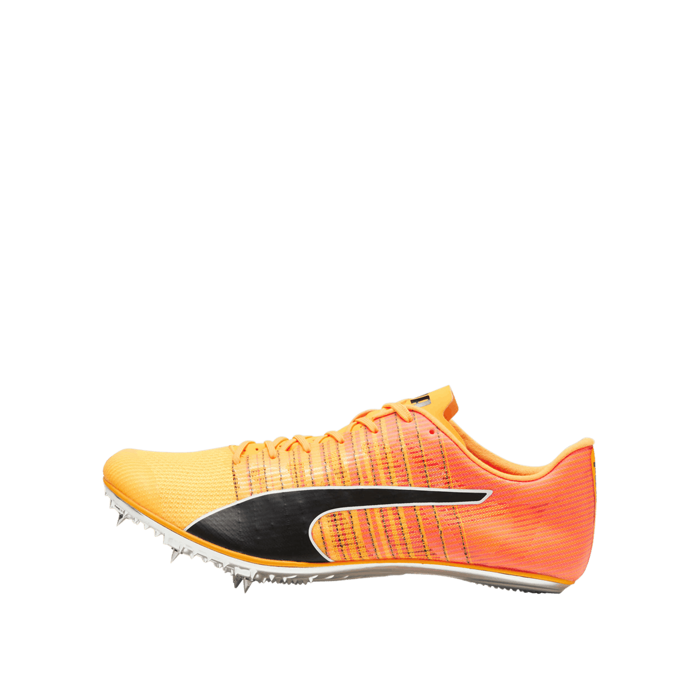 Puma evoSPEED Brush 6 | 380022-01