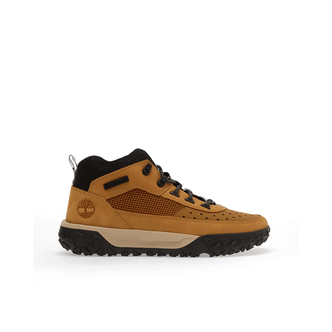 Timberland Greenstride Motion 6 "Wheat" | TB0A5TPC2311