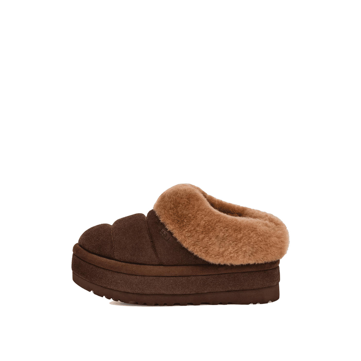 UGG Tazzlita Hardwood