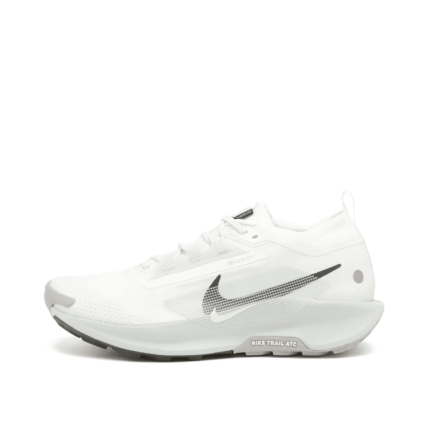 Nike Pegasus 5 Gore-Tex "White" | FQ0908-102