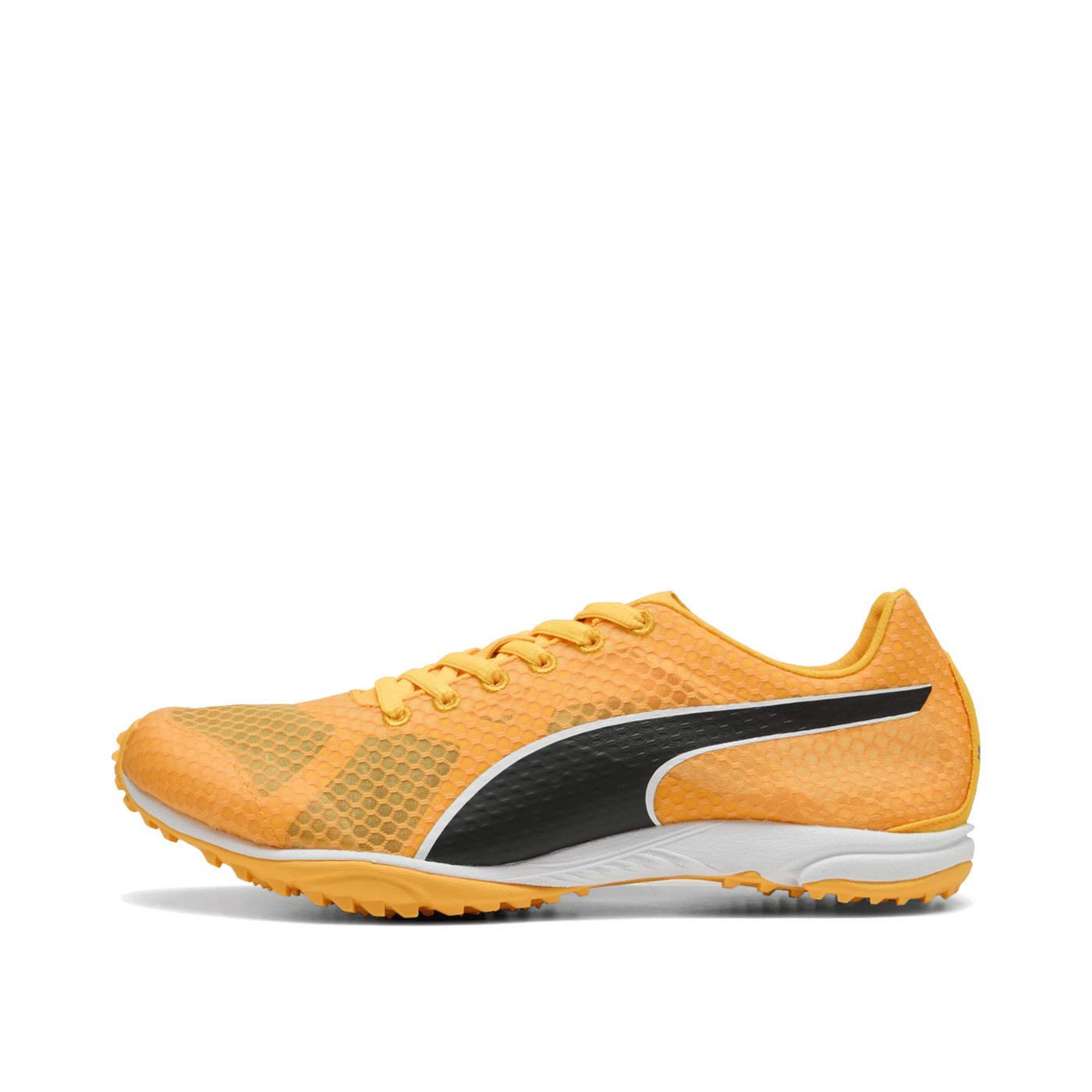 PUMA evoSPEED Haraka 8 "Sun Stream/Black/White" | 311858-01