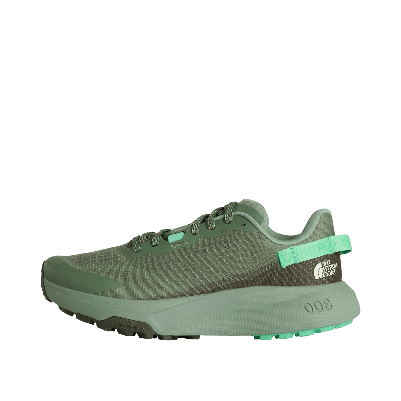 The North Face Altamesa 300 "Brown" | NF0A8A9SC711