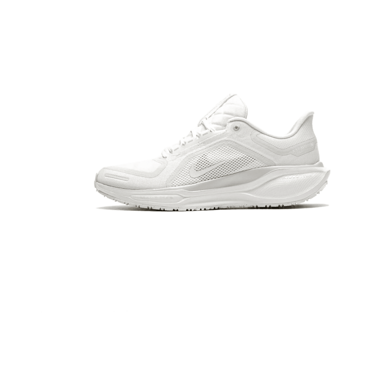 Nike Pegasus 41 Gore-Tex "Blanc" | FQ1356-101