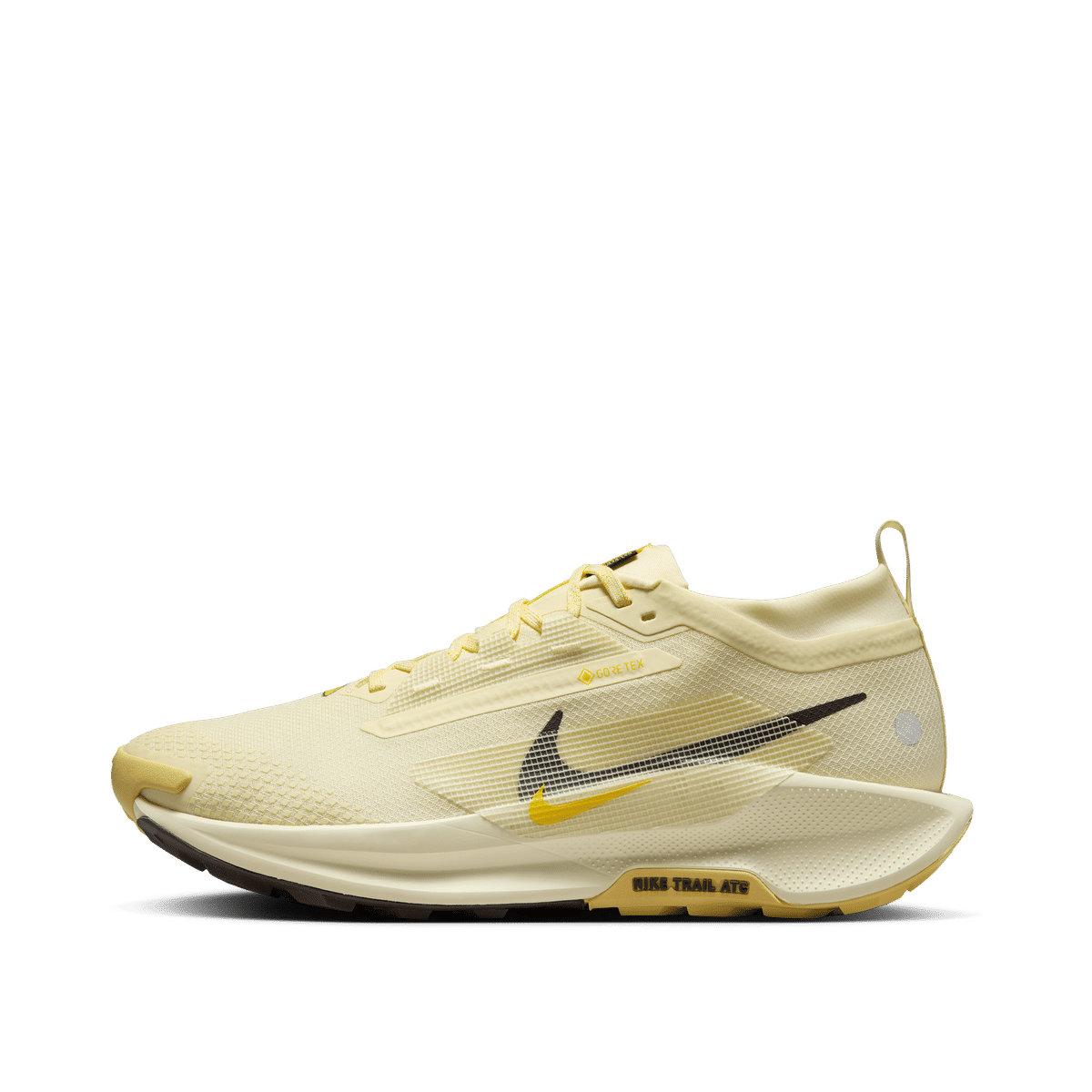 Nike Pegasus Trail 5 GORE-TEX "Brown" | FQ0908-700