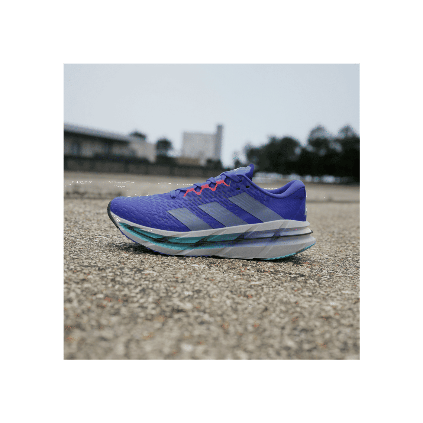 adidas Adistar Beyond "Purple" | ID6177