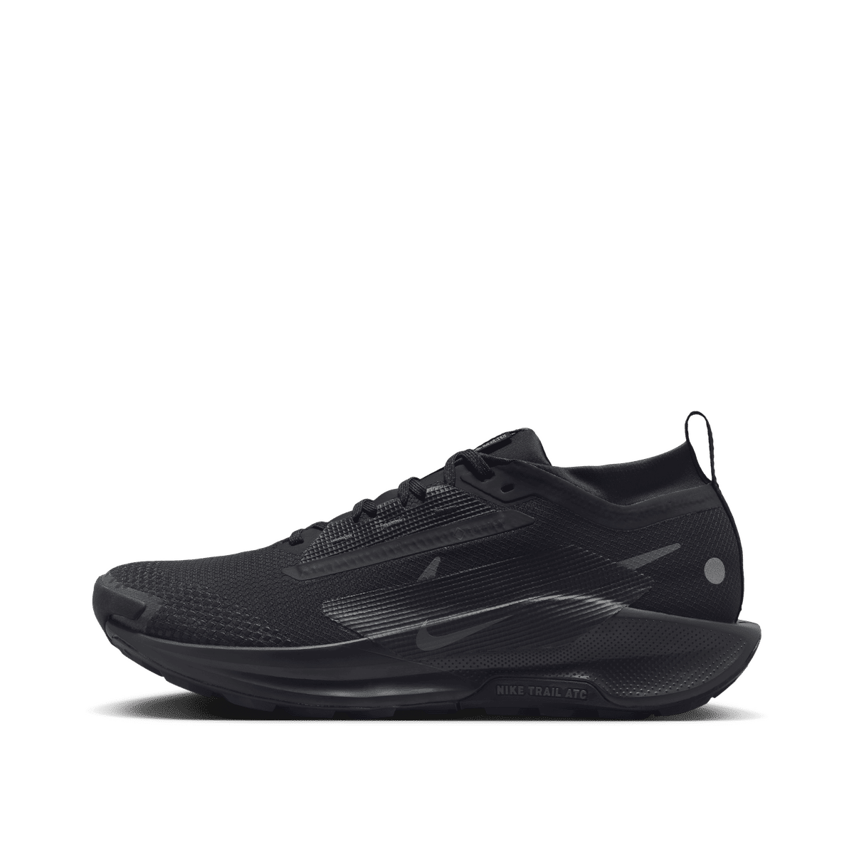 Nike Pegasus Trail 5 GORE-TEX "Black" | FQ0908-002