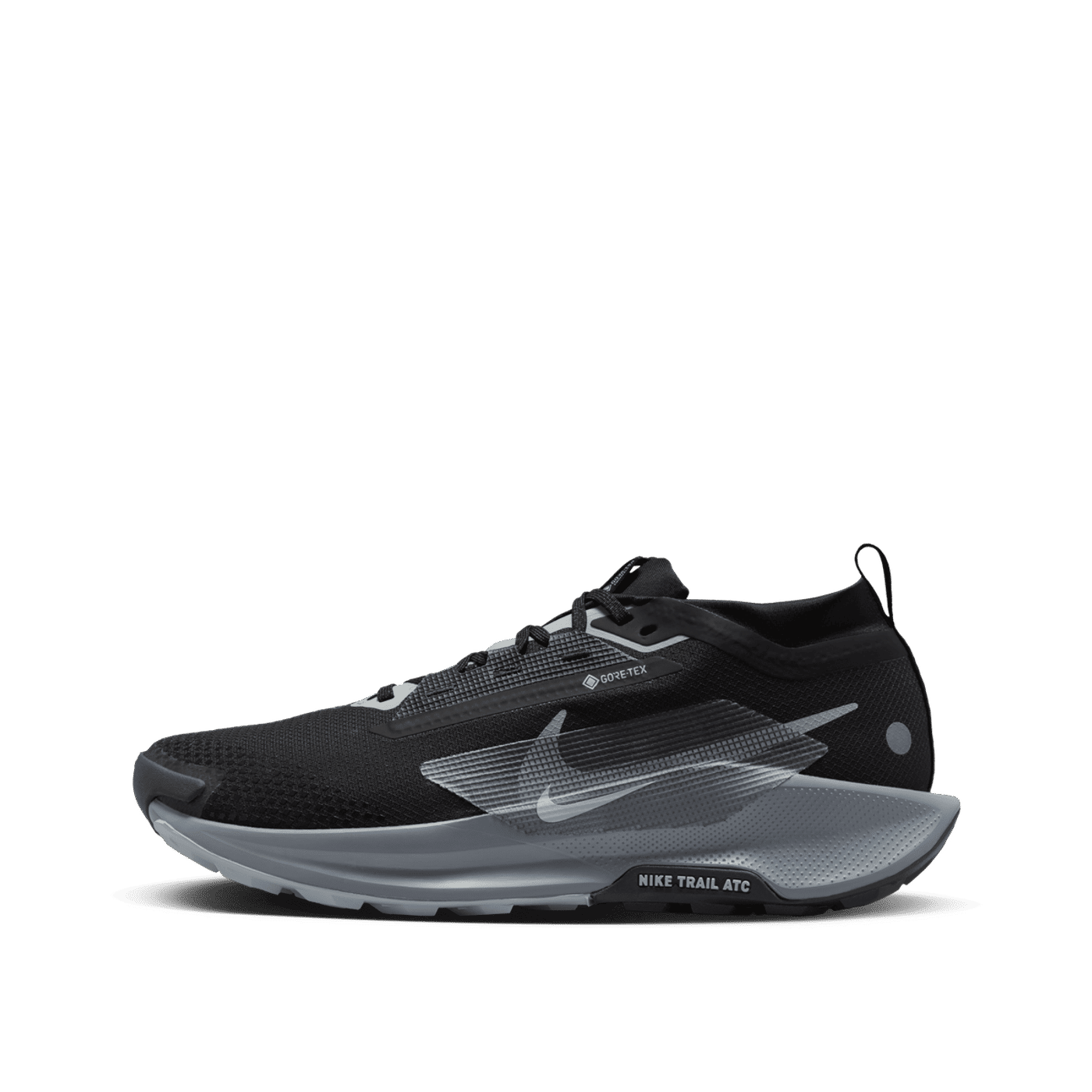 Nike Pegasus Trail 5 GORE-TEX "Black" | FQ0908-001