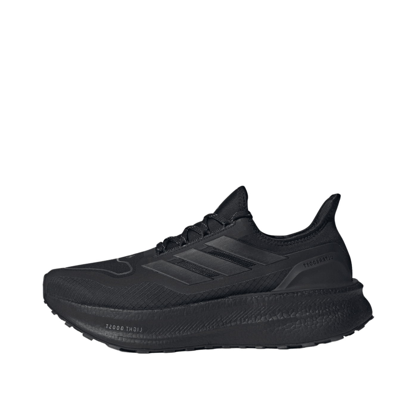 Adidas Ultraboost 5 GTX "Blue" | JI1384